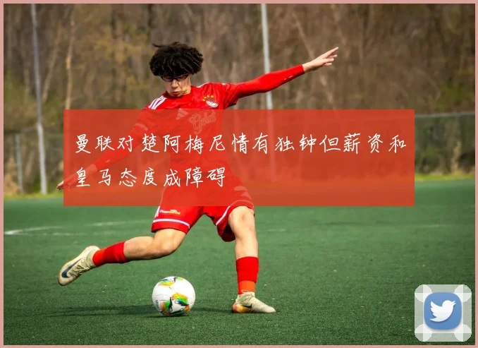 曼联对楚阿梅尼情有独钟但薪资和皇马态度成障碍