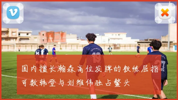 国内擅长瀚森高位发牌的教练屈指可数韩登与刘维伟独占鳌头