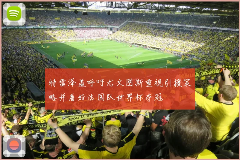 特雷泽盖呼吁尤文图斯重视引援策略并看好法国队世界杯夺冠